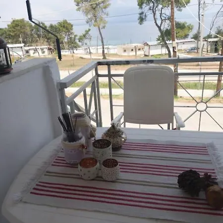 Sophie's Summer House