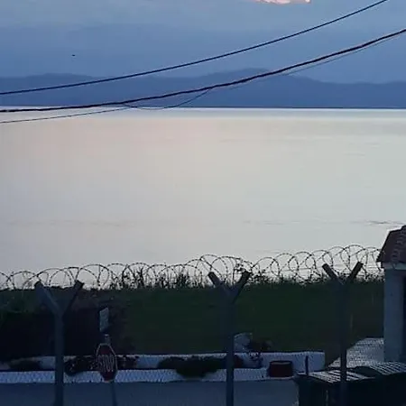 Sophie's Summer House
